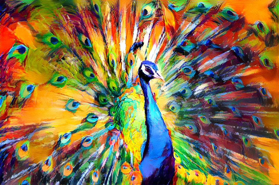 Painted Peacock