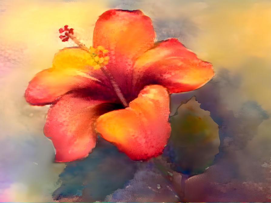 Hibiscus Flower