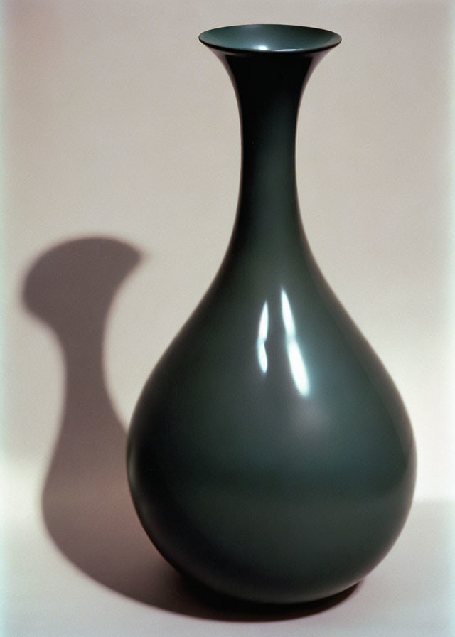 Black vase with narrow neck and bulbous base on light background