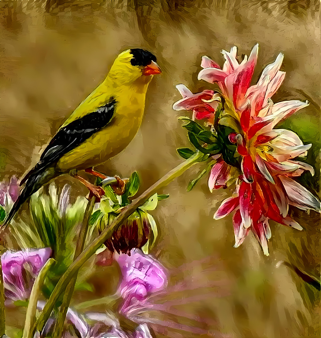 beautiful yellow bird