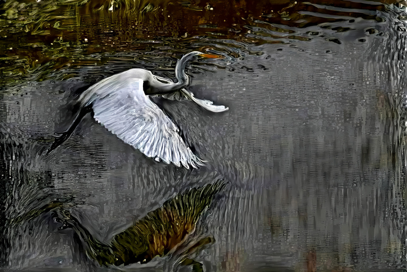 flying egret