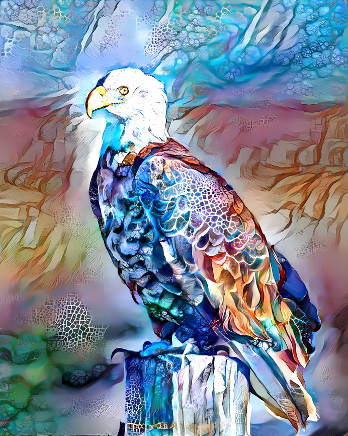 charming eagle