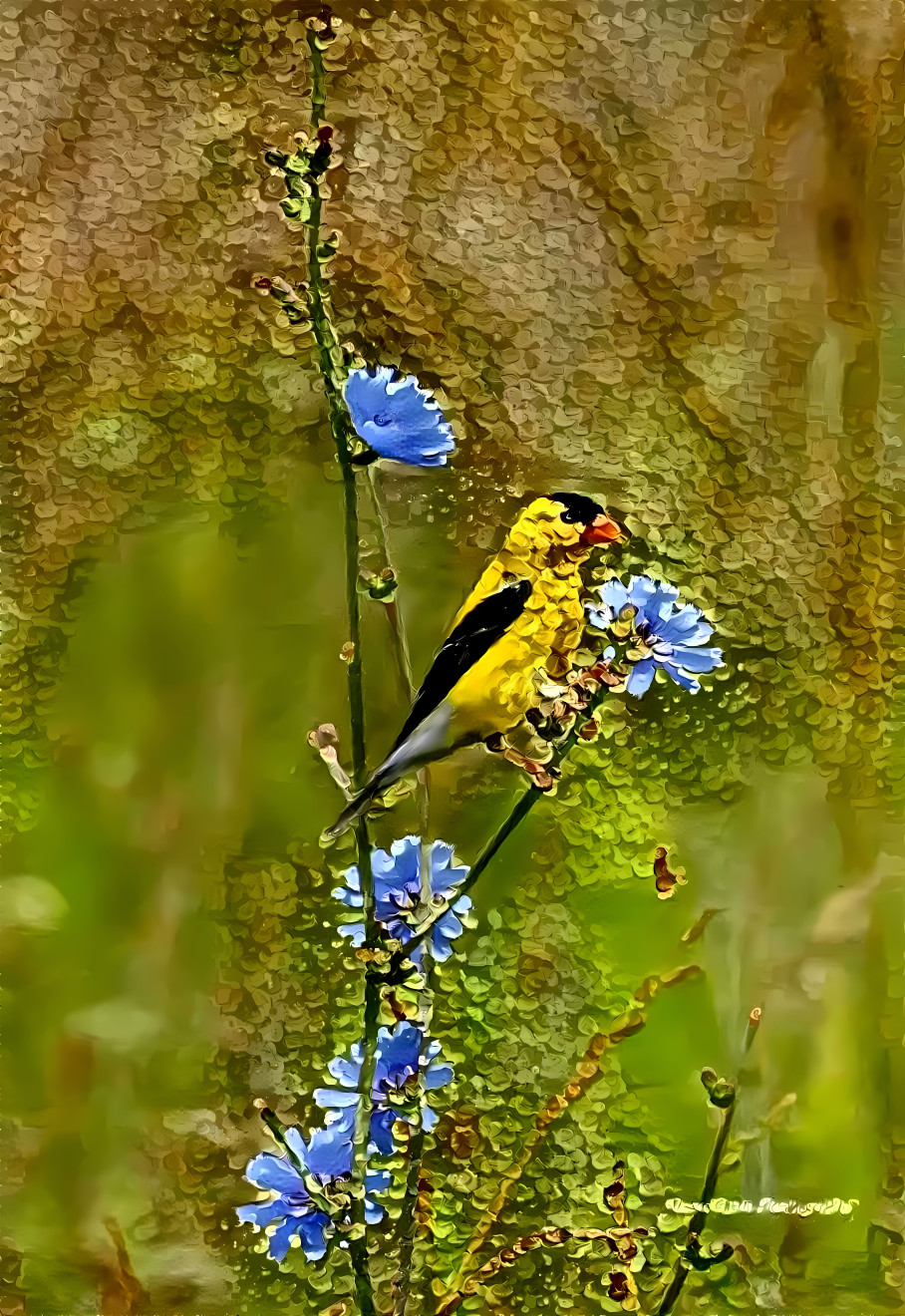 yellow little bird