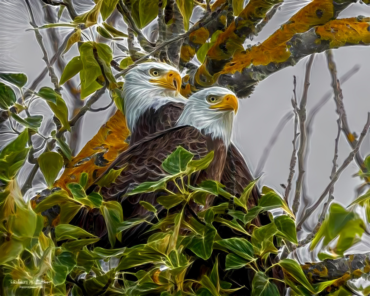 eagle couple