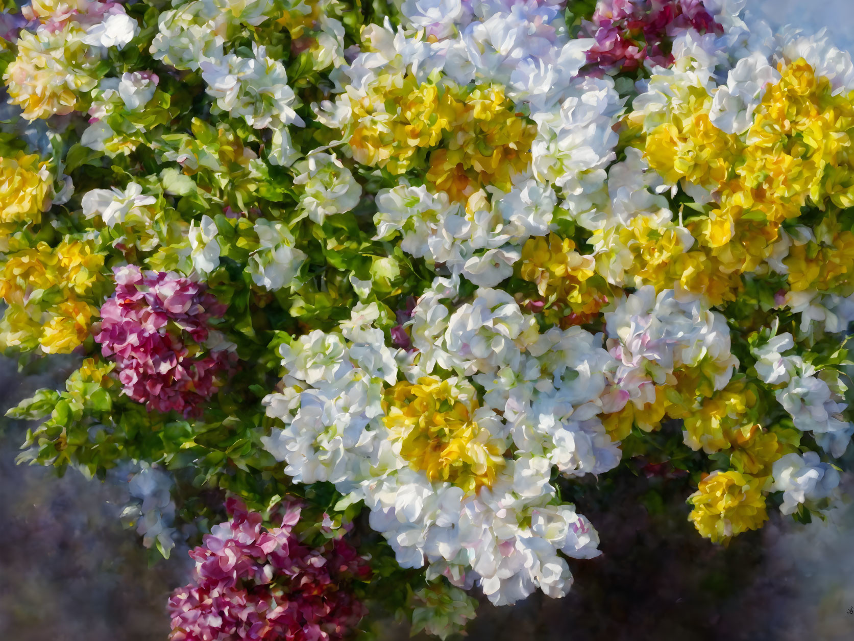 Multicolored Flower Cluster with Soft Dreamy Focus