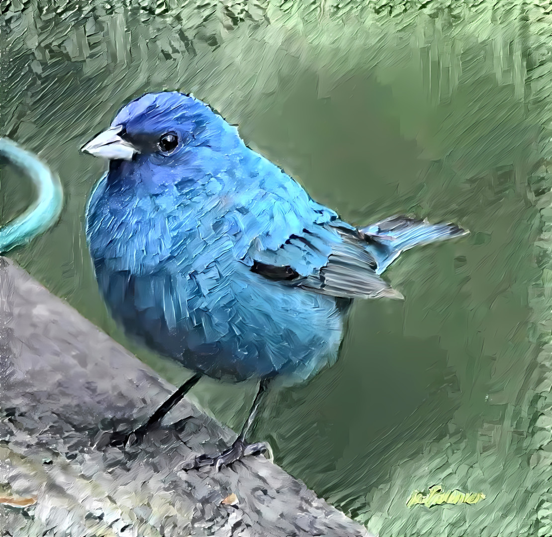 blue bird