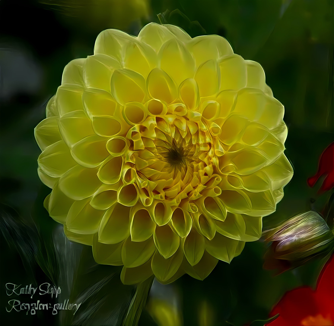 yellow flower