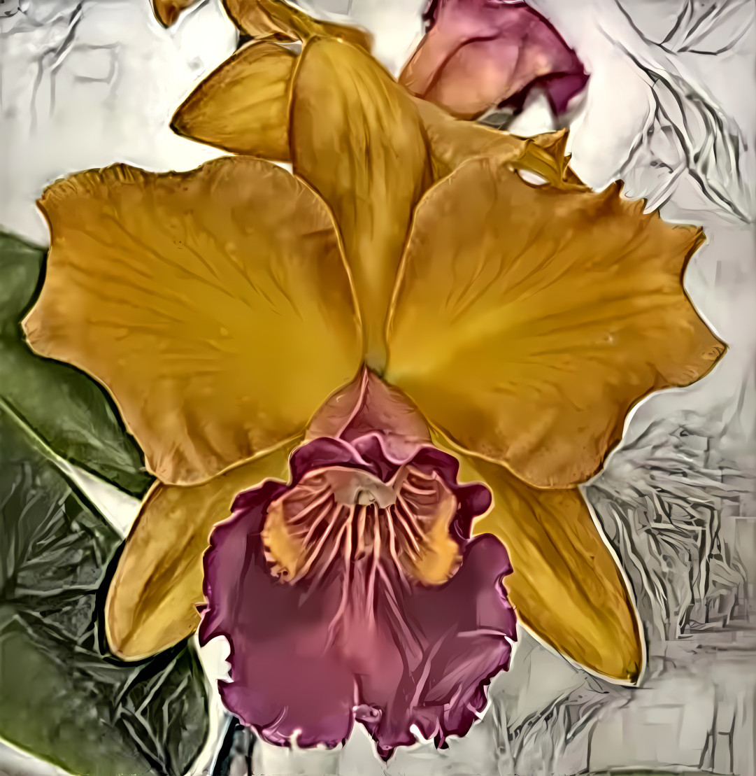 yellow orchid