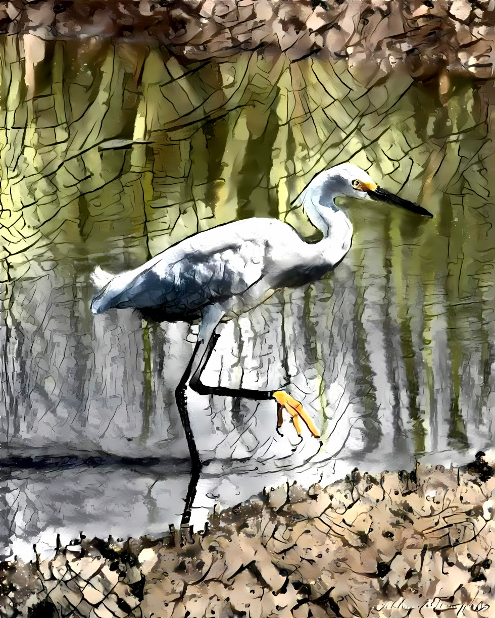 walking egret