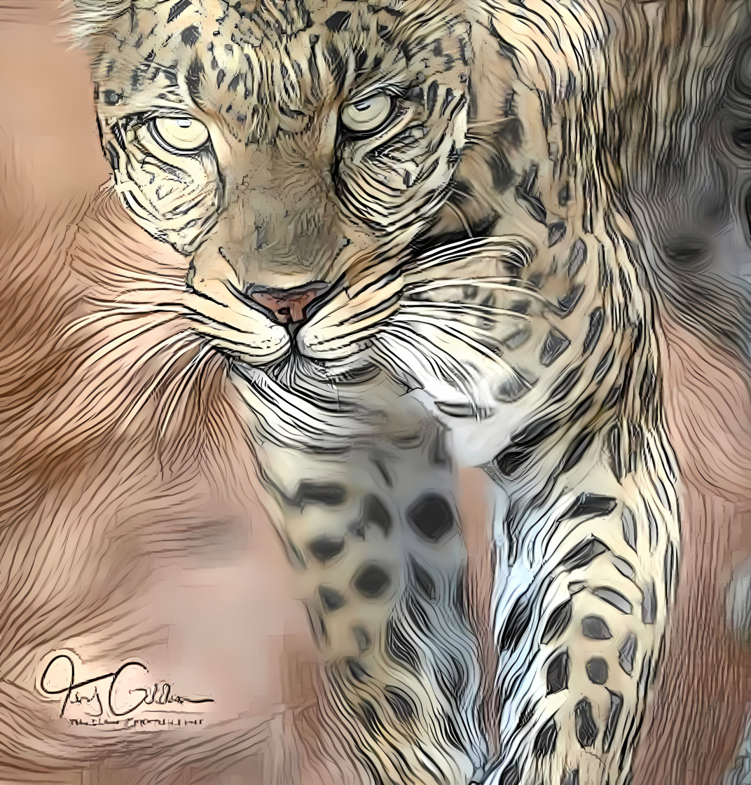 leopard