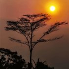 Colorful sunset scene with tree, hills, houses, moons, and suns