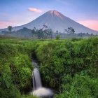 Mountain waterfall painting with lush greenery and pine trees