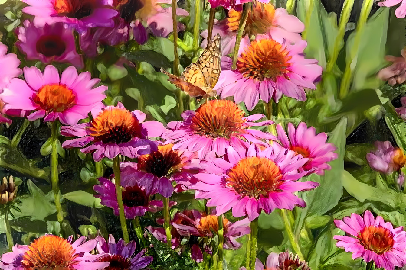 blooming pink flower