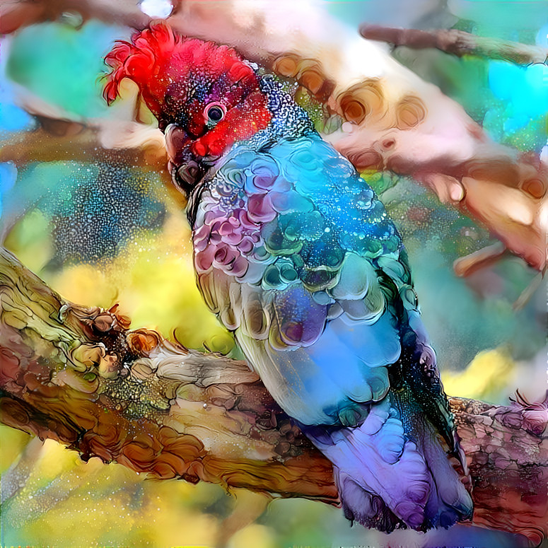 Beautiful Parrot