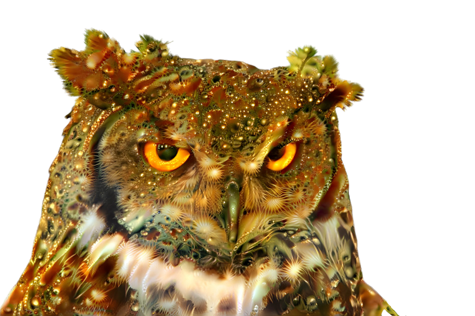 Golden Owl