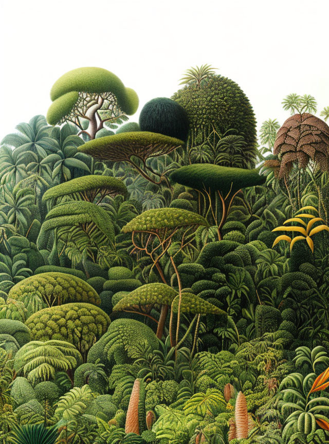 Detailed Jungle Foliage Illustration with Green Trees & Plants