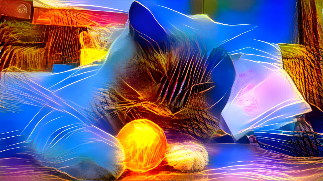 Light Cat