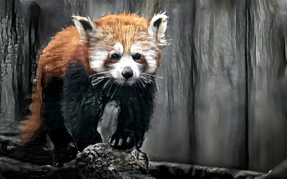 Red panda dream 2.0