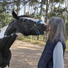 Mystical Forest Scene with Woman and Majestic Horse