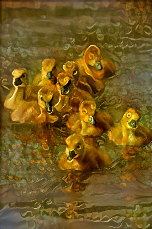 Goslings