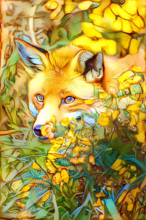 Fox