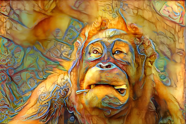 Orangutan