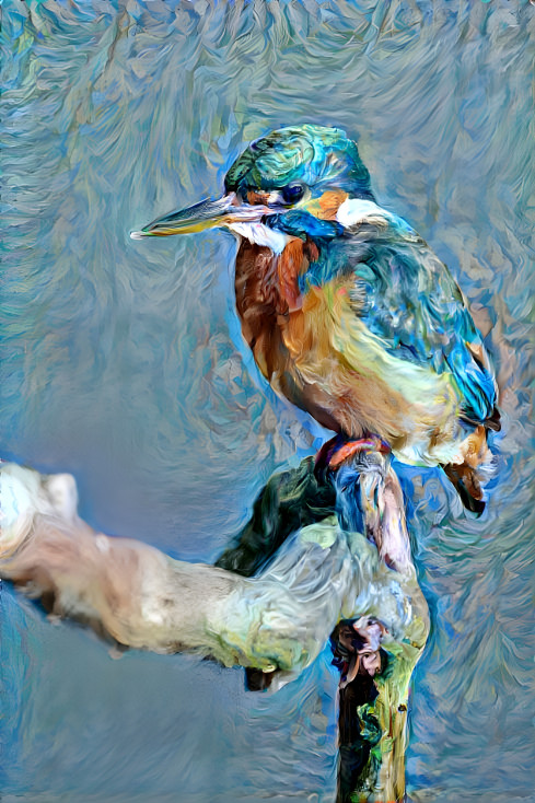 Kingfisher 