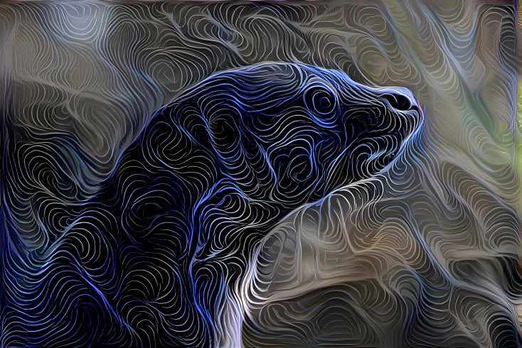 Otter - Abstract