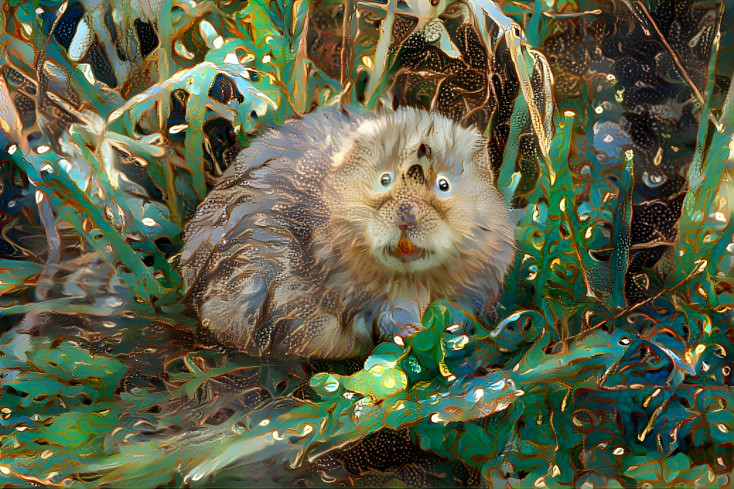 Water Vole