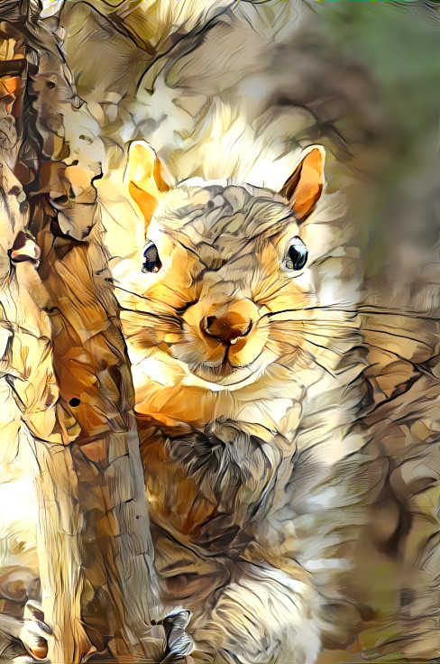 Grey Squirrel 