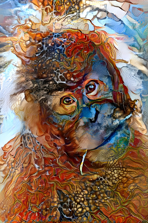 Orangutan