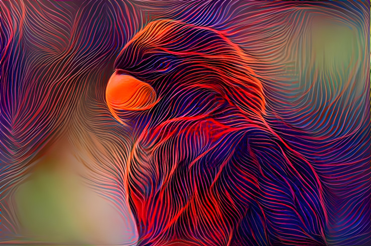 Abstract Parakeet