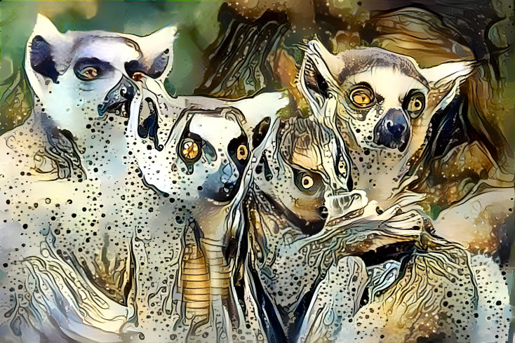 Ring Tailed Lemurs