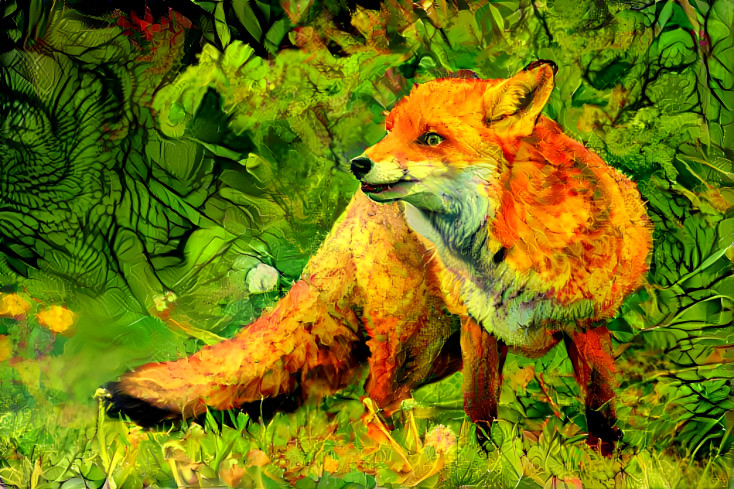 Fox