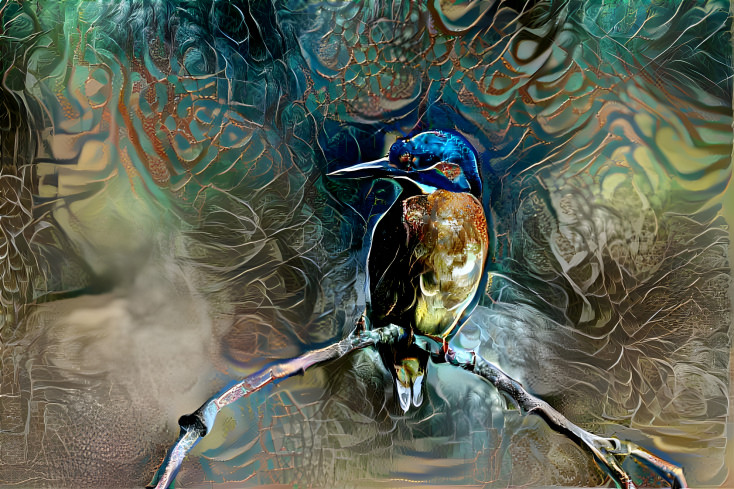 Kingfisher