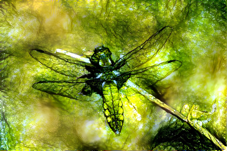 Dragonfly 