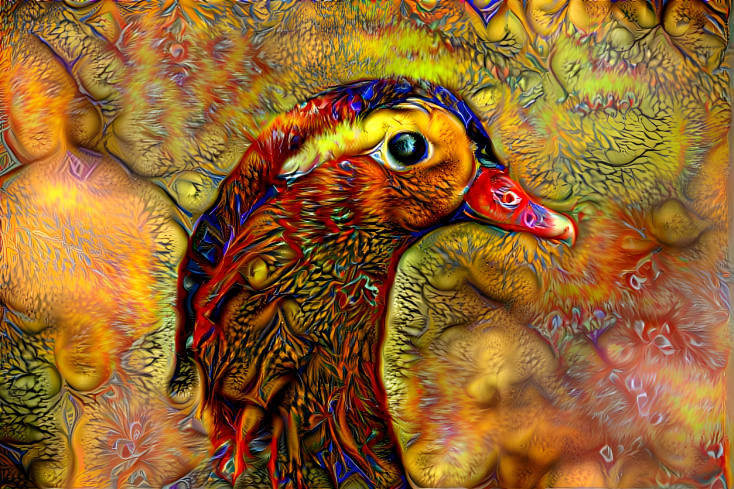 Mandarin Duck