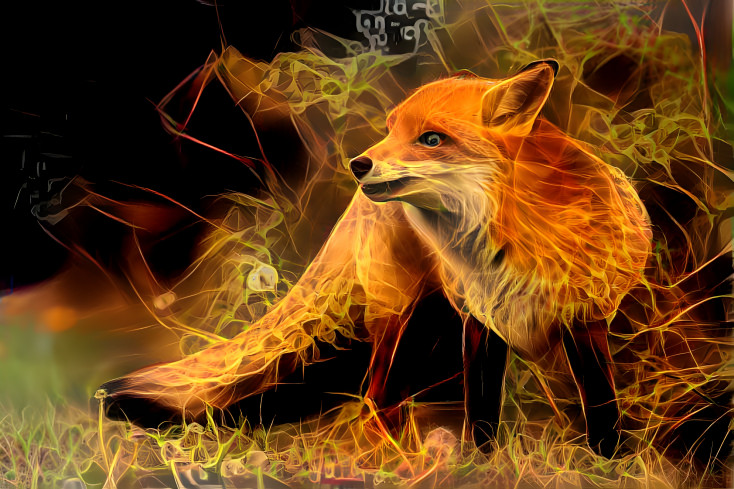 Fox