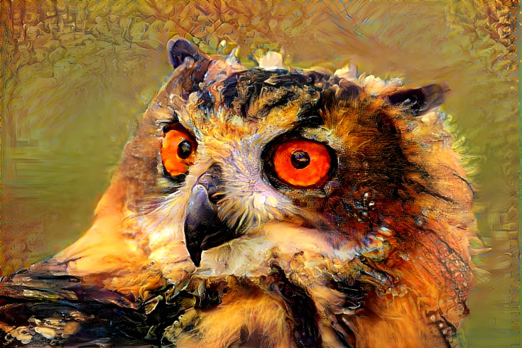 Owl