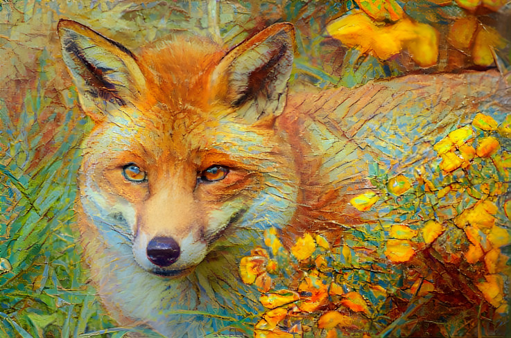 Fox 