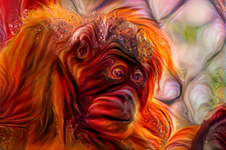 Orangutan 