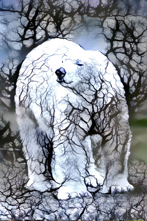 Polar Bear