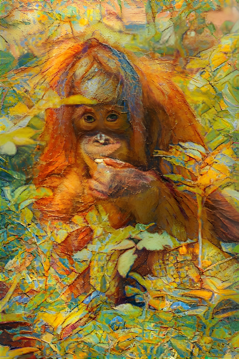 Orangutan