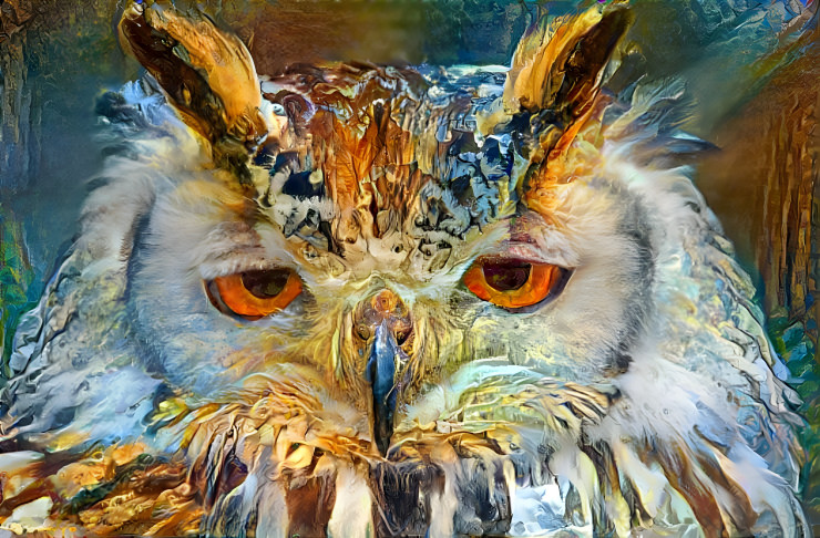 Owl