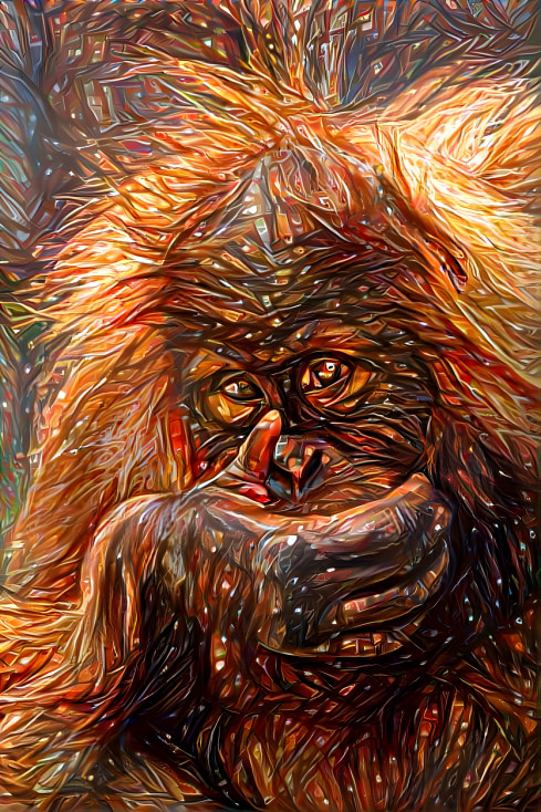 Shy Orangutan