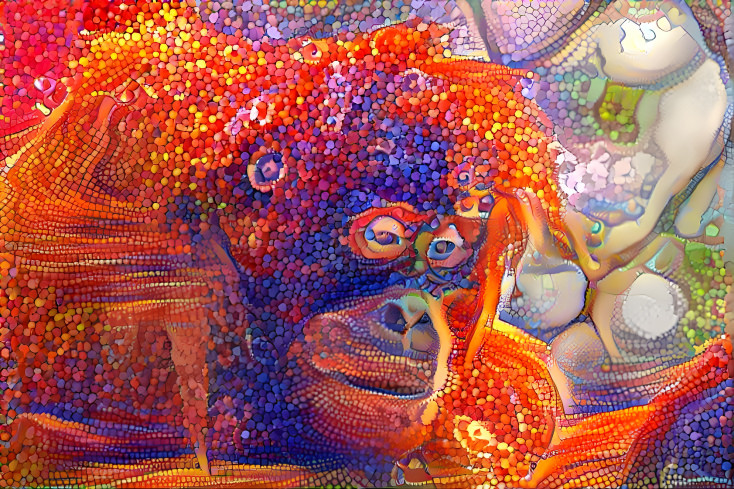 Orangutan 