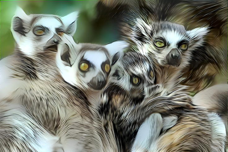 Lemurs