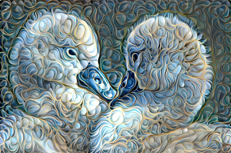 Cygnets