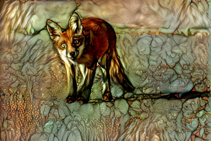 Fox