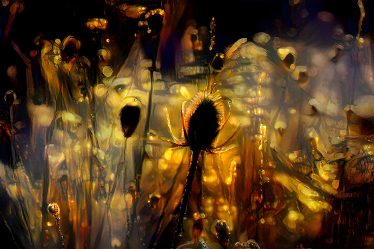 Frosted Teasels